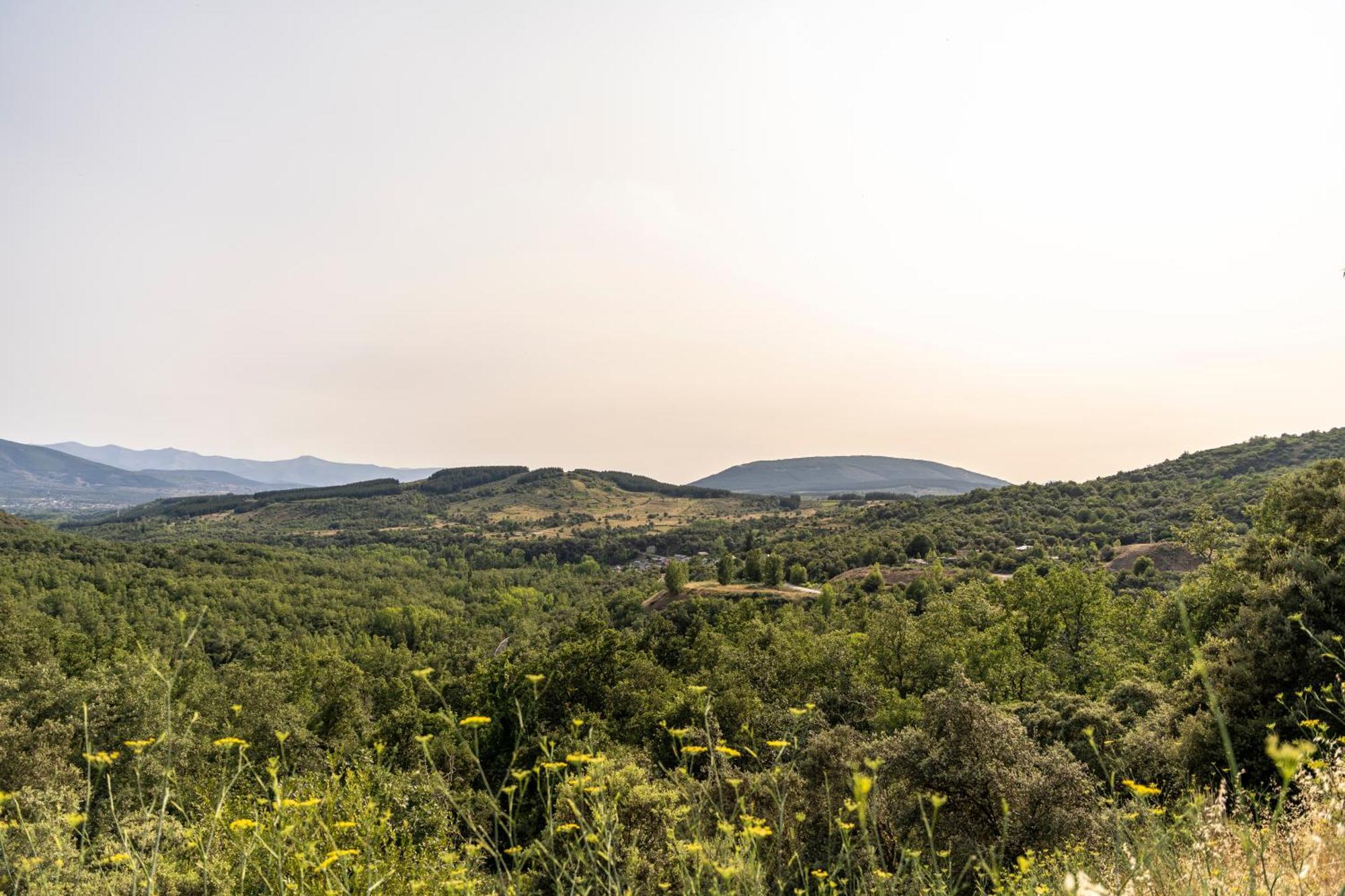 Апартаменты Casa de turismo rural Sardom2 Бембибре Экстерьер фото